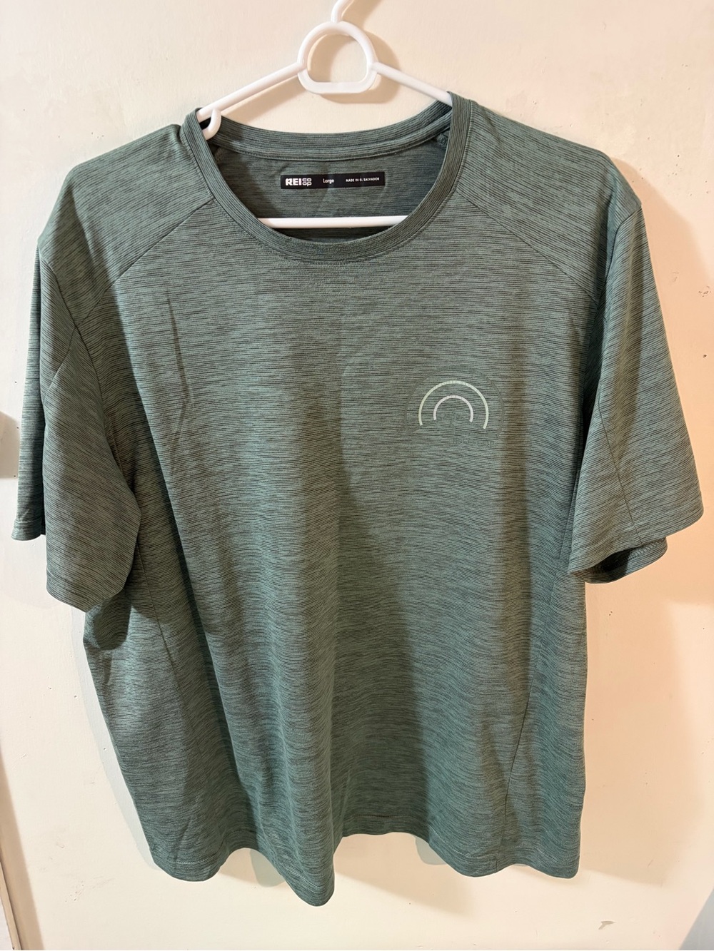 REI Men's Heather Sage Short Sleeve Crew Tee - Sage Green